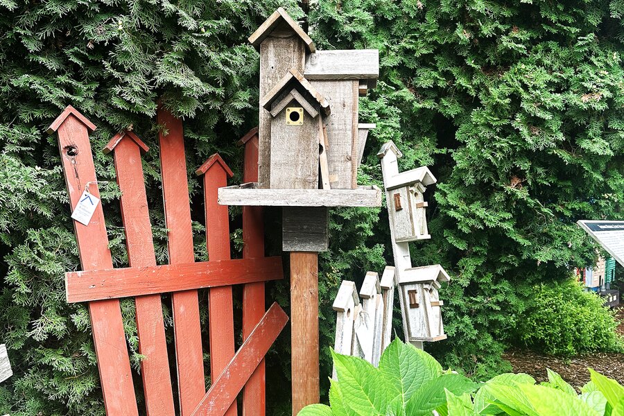 Birdhouses in workshop